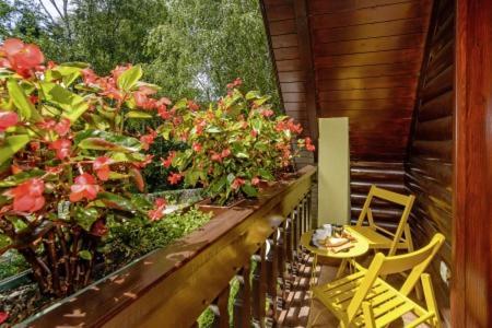 Ledenice Chalets Bogo & Neno מראה חיצוני תמונה